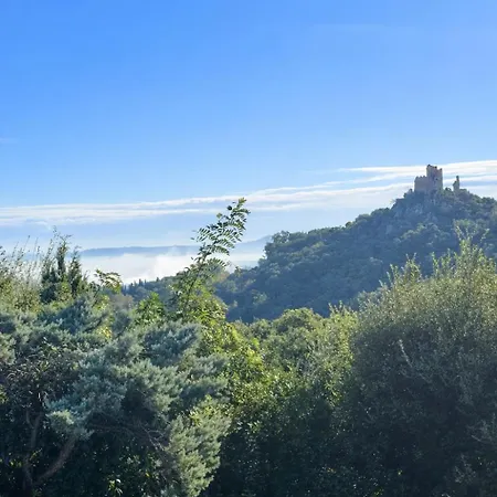 Avec Vue Sur Le Golfe De St Tropez