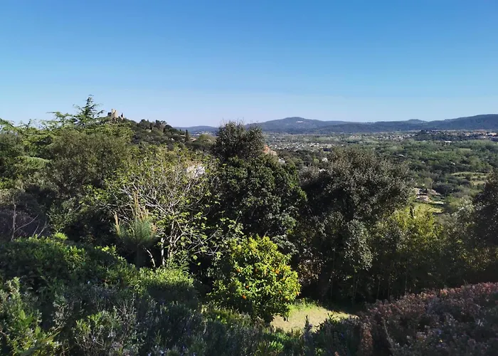 Avec Vue Sur Le Golfe De St Tropez *